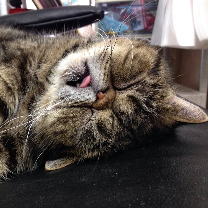 49b5b33d d5ec 4cc2 befd 338ae6868ee6