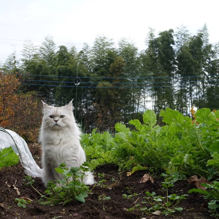 49b5c369 af6b 4a79 b013 2061d79c3d05