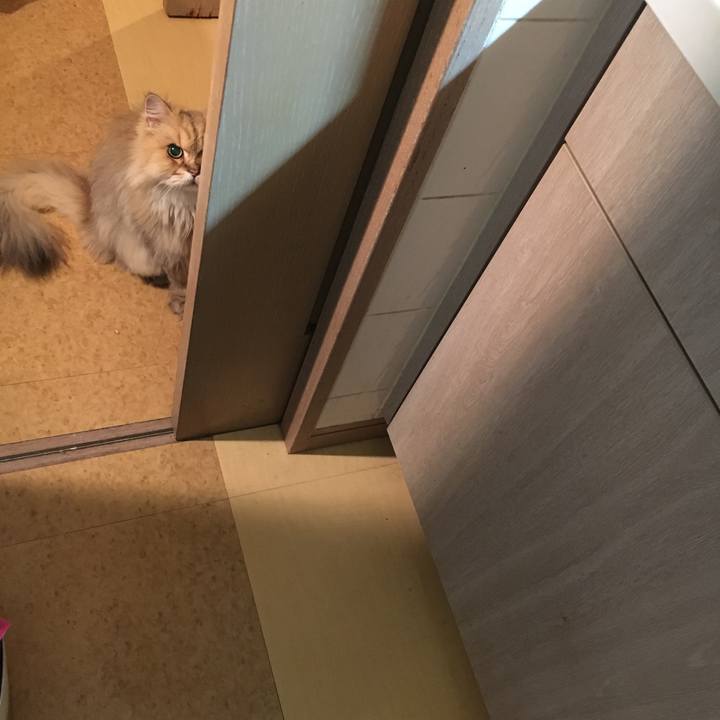 49b5cd9b 2e60 426e bac7 fa39450a9e0d