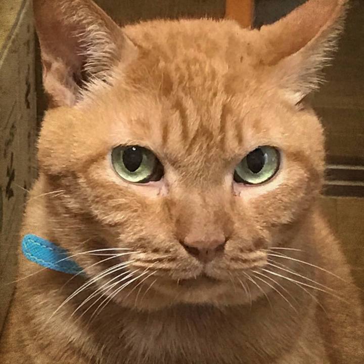 49b5f947 4aca 4347 b553 e16dd95d000c