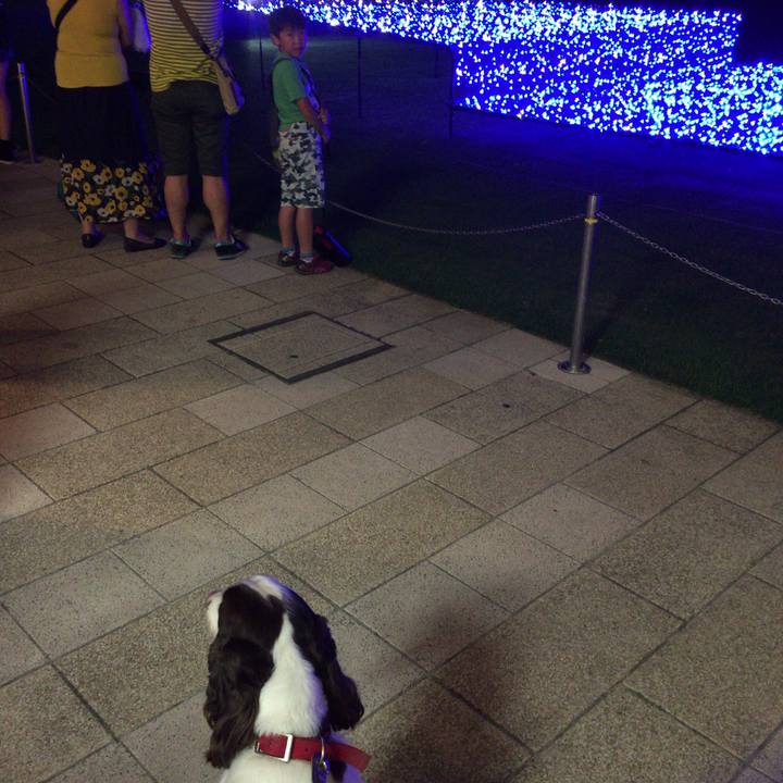 49b5fc24 6eed 4a6f a7f6 a819d215078d