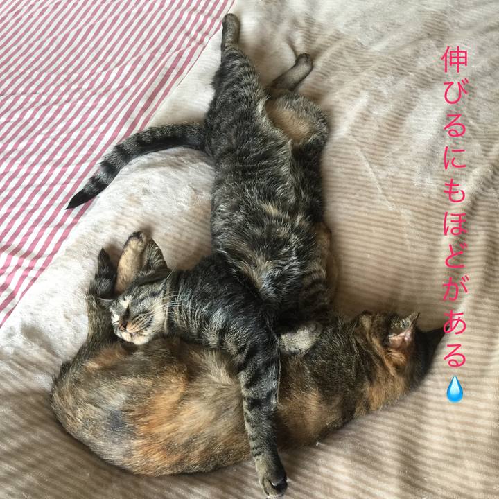 49b5ffed 8364 4845 a379 3216a7c82054