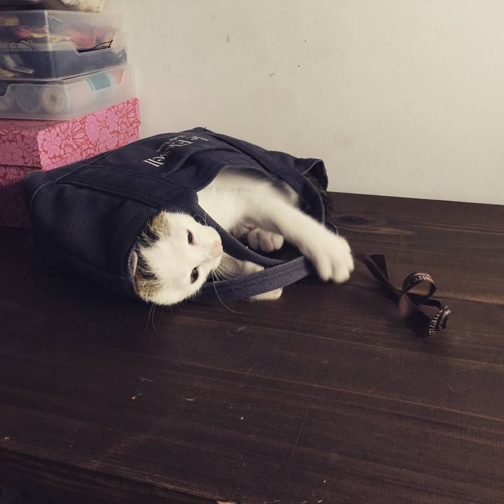 49b66464 0c22 480e 8aea 356be4c189a3