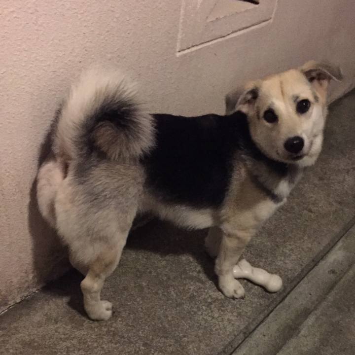 49b707d8 efc0 4ac7 a4b7 ff38e60e3fa0