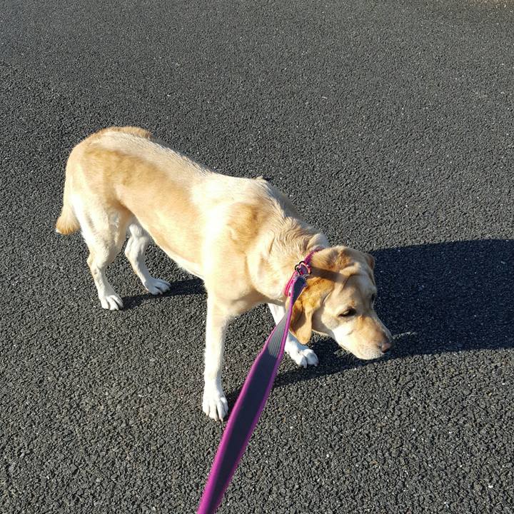 49b74cab 9799 4343 a4ba c45d8c7828c3