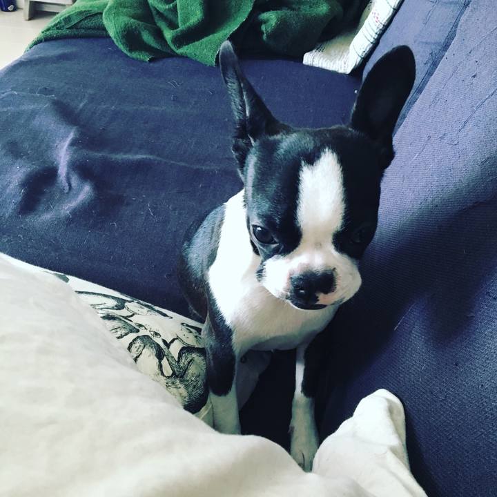 49b81599 060e 416c 8694 201b1cab10d7