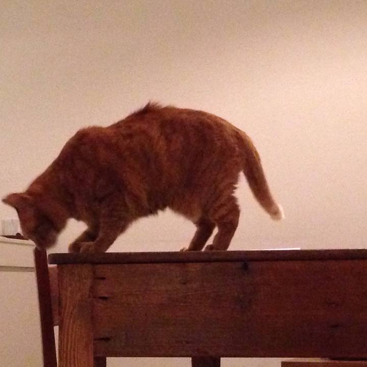 49b899a5 7e6f 419d be0e 1282e48383d2