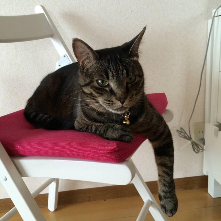 49b964a6 d768 4c76 ac00 f8a3e894341f