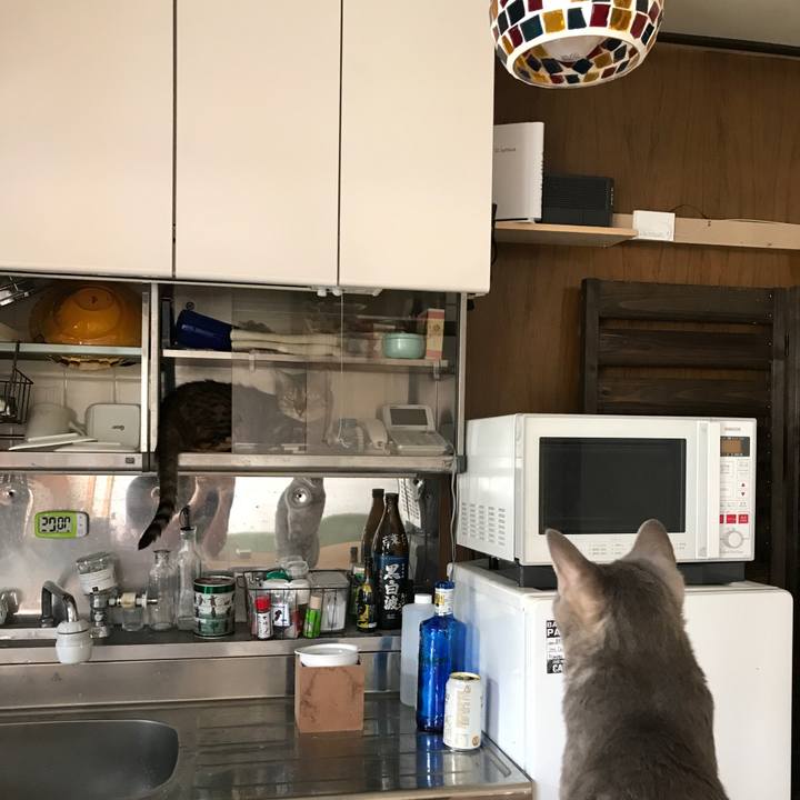 49b9d032 7517 4d8b 94ee b9e50fa94f78