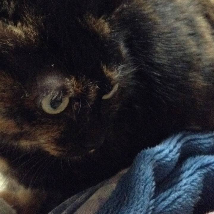 49ba4abe e243 467e 9b8f 4a64c49175a8