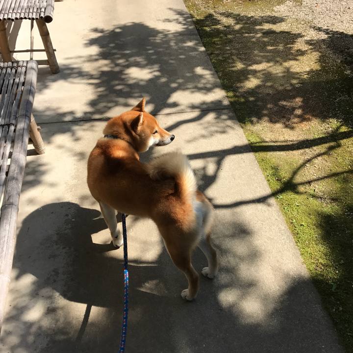 49ba7817 03fe 41bd 9871 d9a6a86bea7e