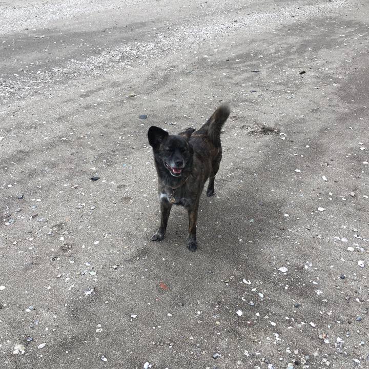 49baaf3e 769d 451e 93f4 11c6ed27626f