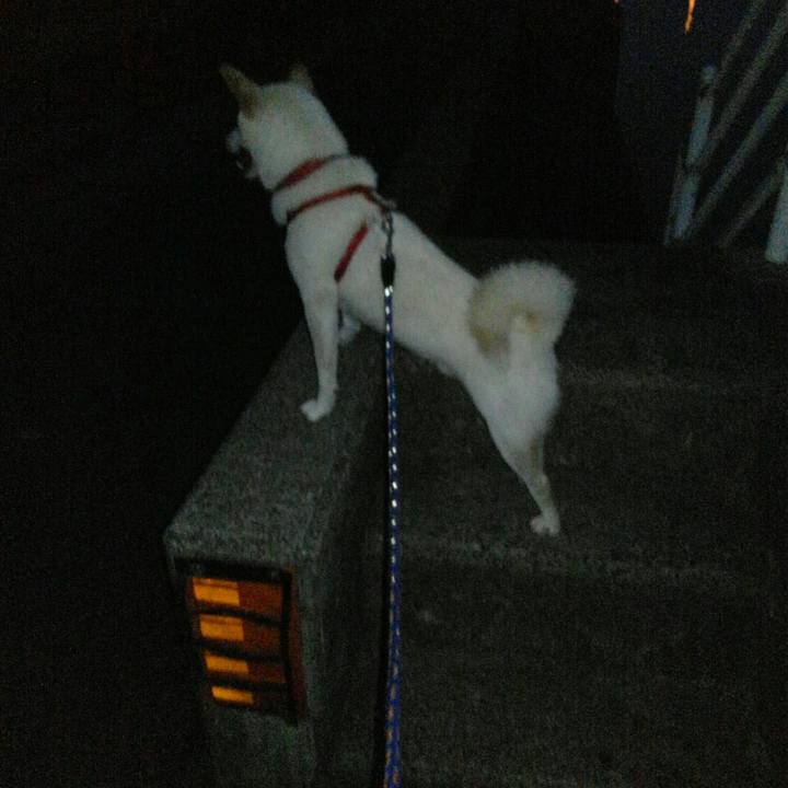 49baee1e a4b7 4377 8ddb b3e67f876aa2