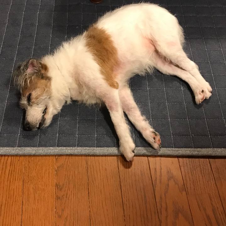 49bc556e 245f 42c7 8436 8555109348e9