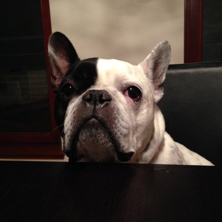 49bc7160 aebc 4bba 9d40 c598a7c9846c