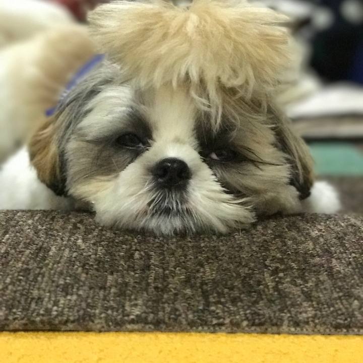 49bc7f3c 6477 4705 9b1f bd53db6fd9ef