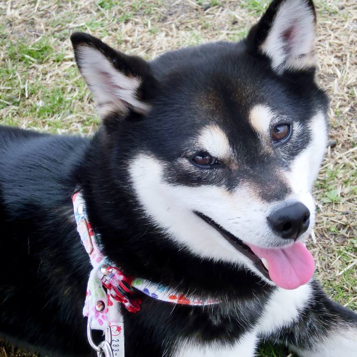 49bcbcc7 fa70 43c2 a182 933f53665b12