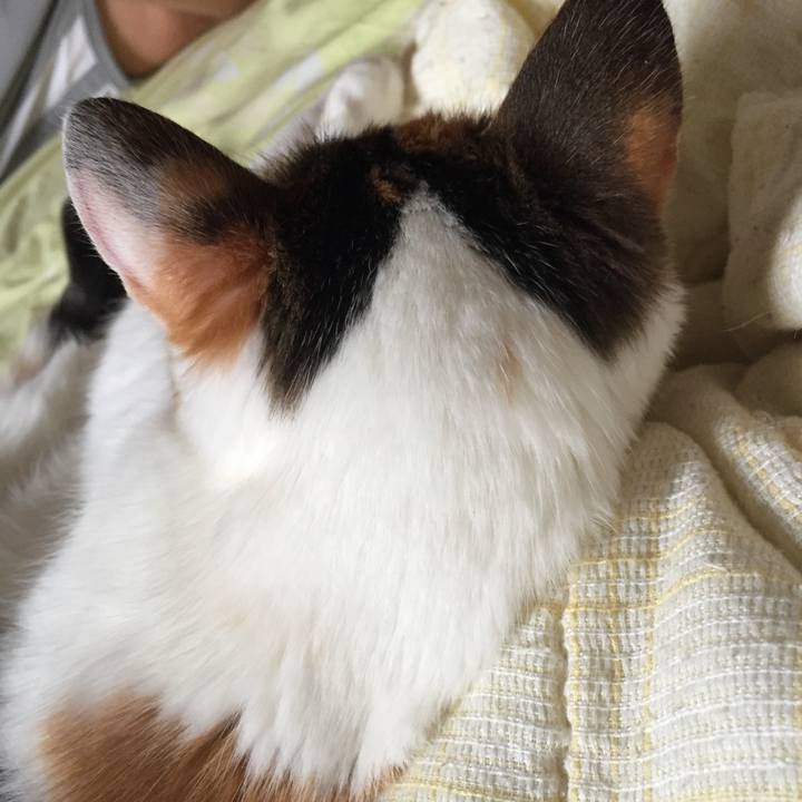 49bce06b 5e3f 4352 8a6c 6efb3fa5aaae