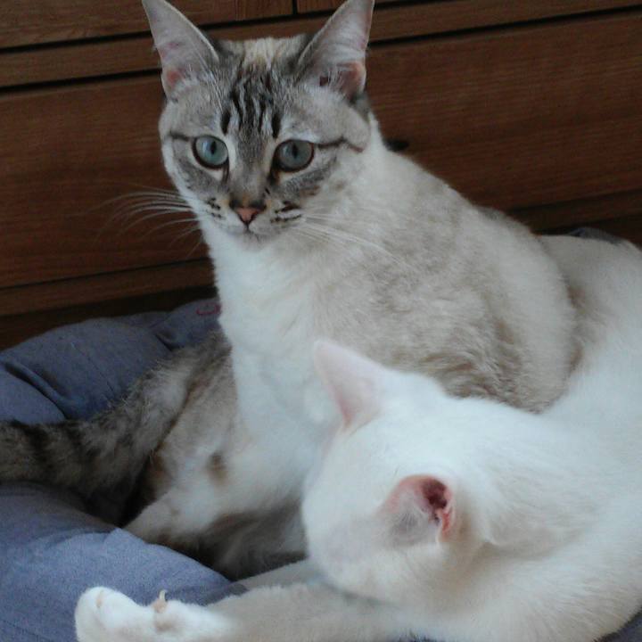 49bd471f 1bd4 416d 8f1a a4d8af6e3454