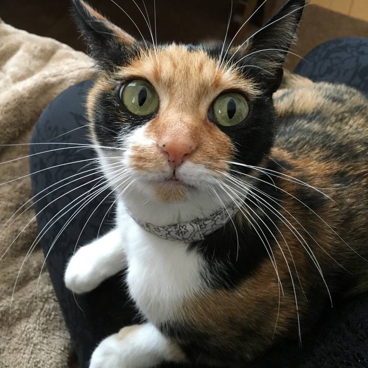 49bd5847 e43f 4b37 8d46 4e37f4299c71