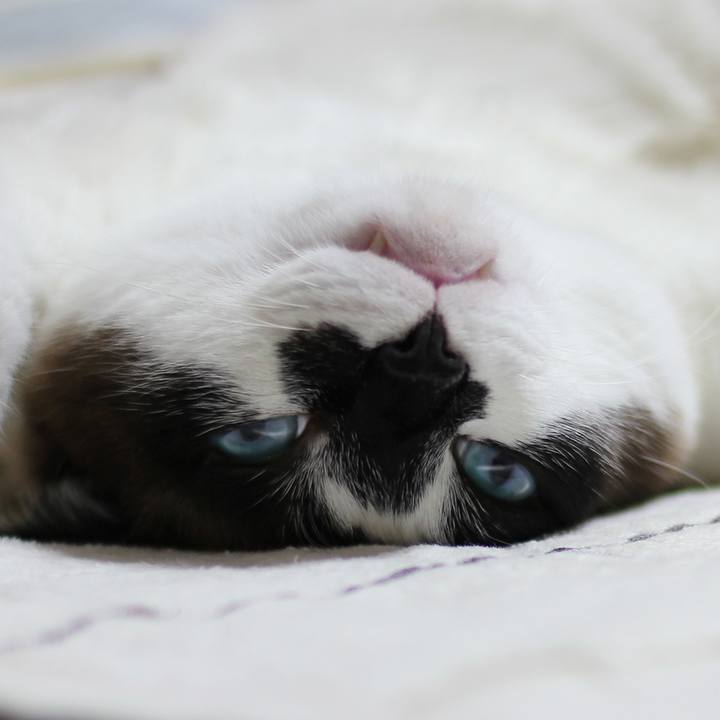 49be329f ecb1 4994 a4b1 1d96071c3478