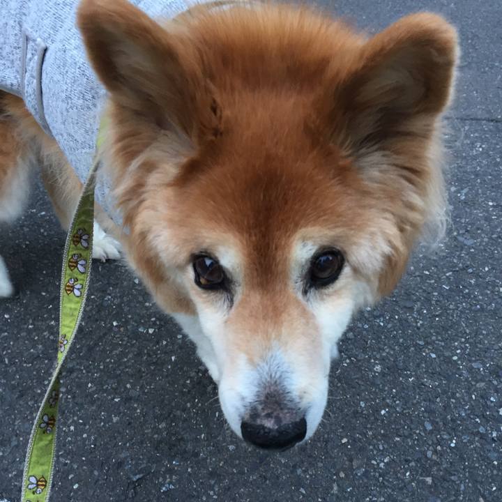 49be618f 91f7 4199 b638 d3c6e8fbf439