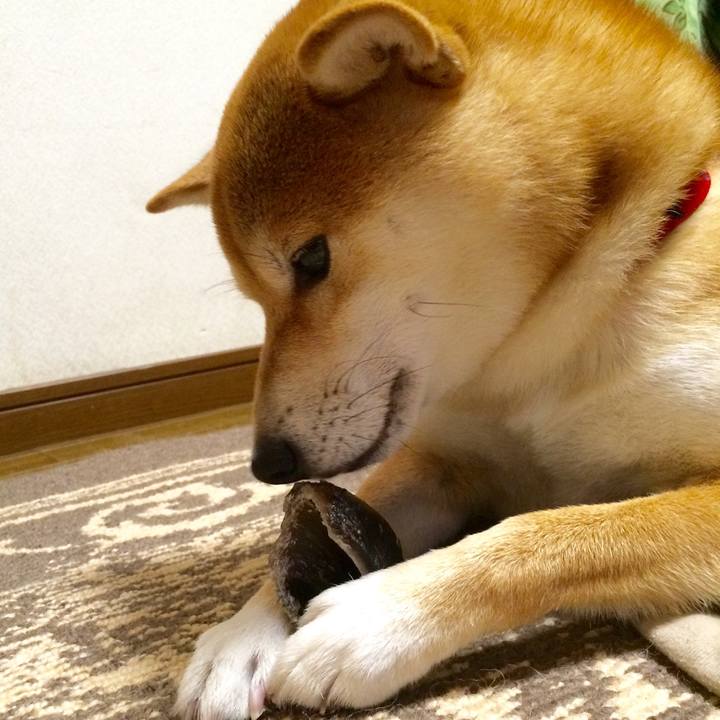 49bea4a0 2736 4351 8b52 b194a8a65f77