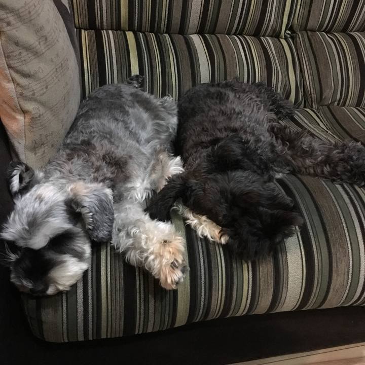 49bec535 d3cf 4b36 ba5f 2fb7307185c8