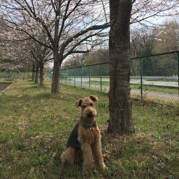 49bee94f d2b7 4f9c ae1b d04b4f69e8f4