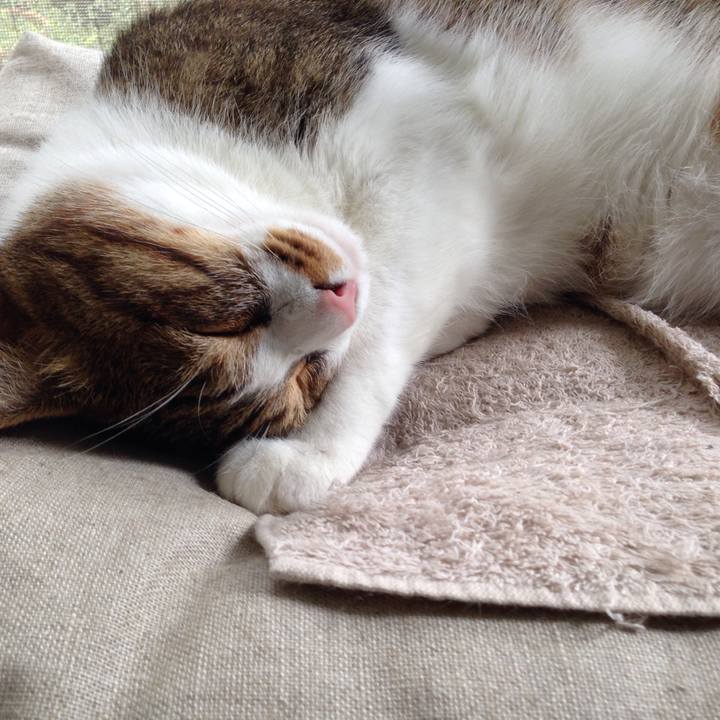 49beea26 395d 4fbb a80f 83b6c0ace68d