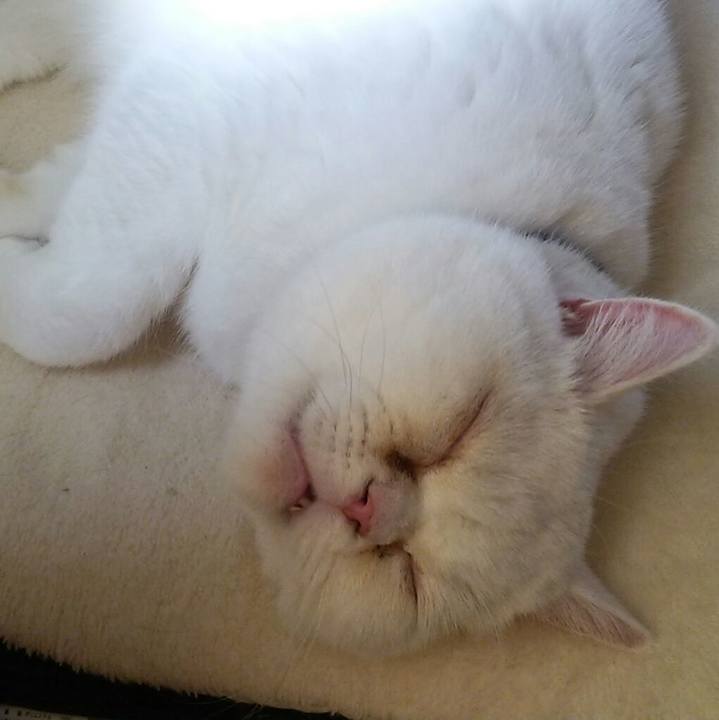 49bf77f0 5397 4391 b433 19aa112df679