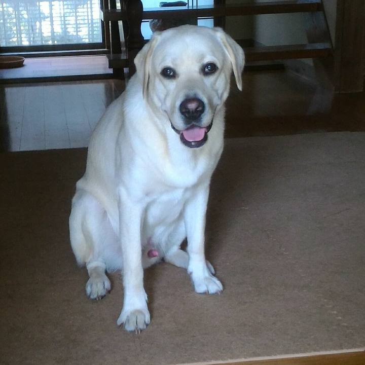 49bff158 9199 453b a34b 5ec0f373e182