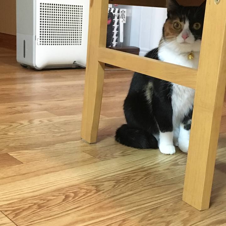 49bff496 9494 41d2 9f24 24f34ee23bb5