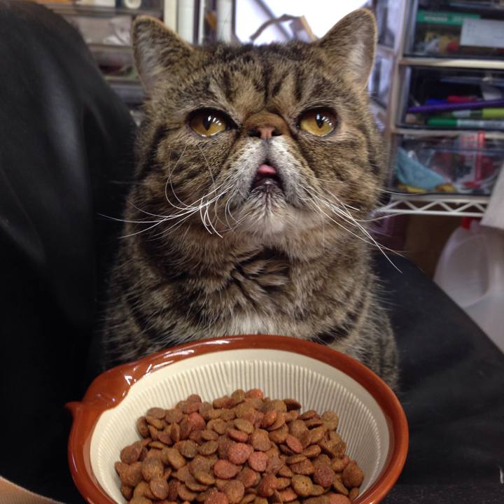 49c1398c 111d 496f 93dc 606687d323d5