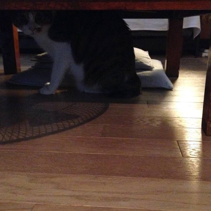 49c1923d bed4 4a8c 94be fc5a3f1dc3b9