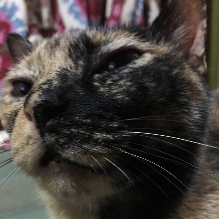 49c252d0 a13a 43ff b80c 889fb745fba9