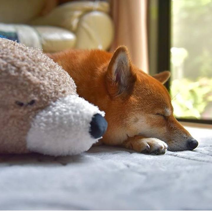 49c2af4c 31ae 490b b0a2 ba7a721fcfc7