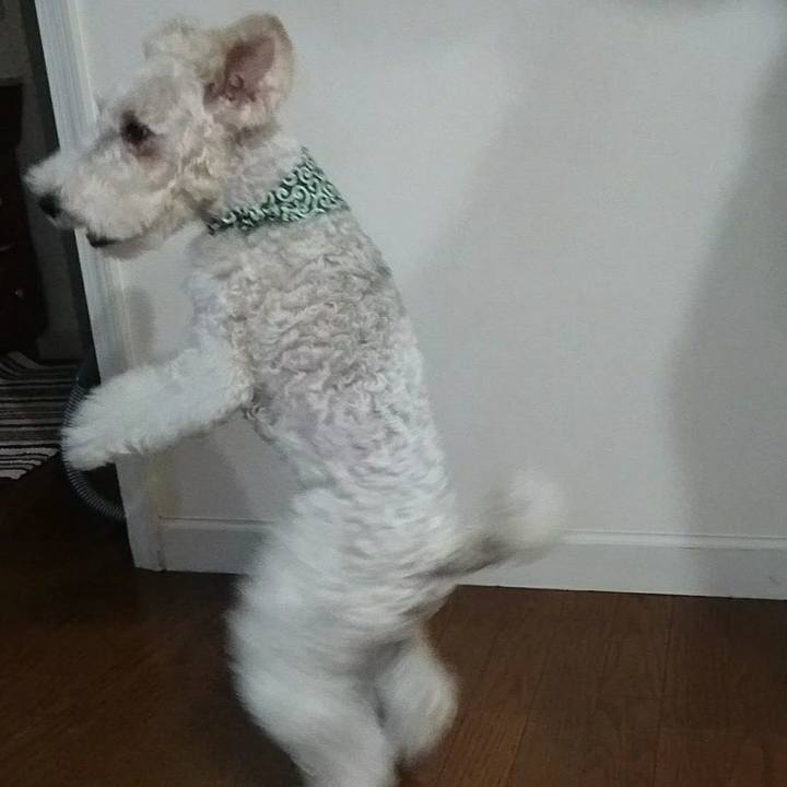 49c34903 9bfc 48a6 9181 4cdbca9e9d11