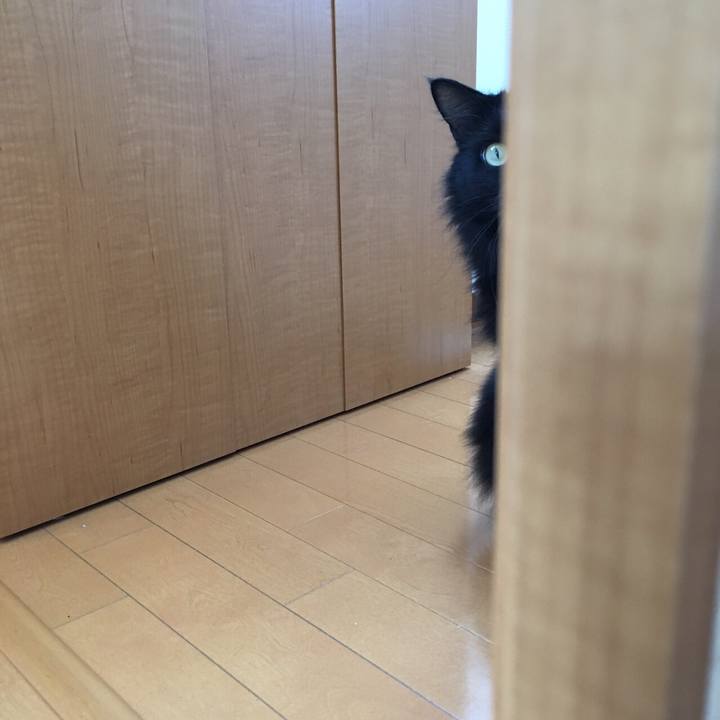 49c34a63 f651 408f a5ce 02c6fbfd4403