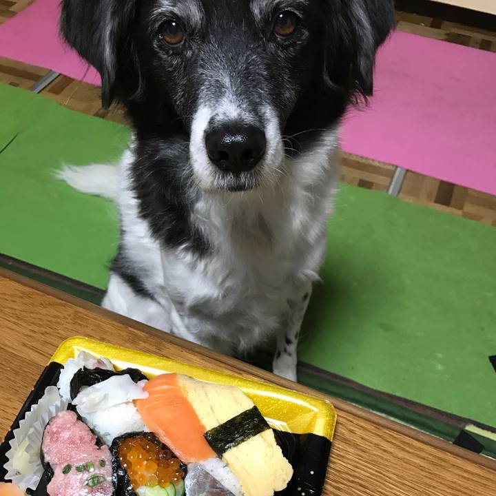 49c47ace 5821 42e2 8908 4435b7f85a65