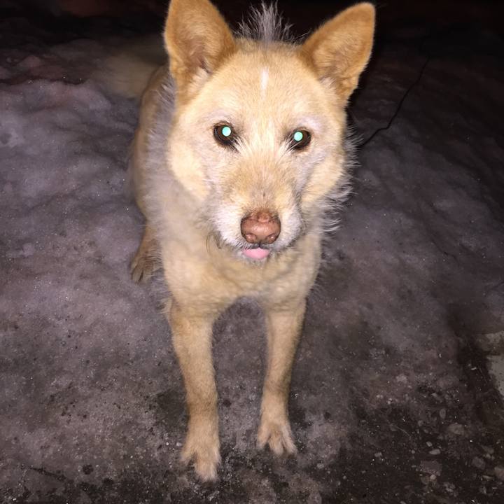 49c51a45 b2d9 4b29 abd1 79d2958737e8