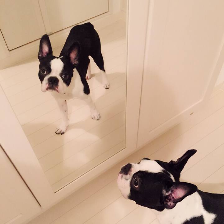 49c52461 b7a3 441d 82db 379fc8f94310