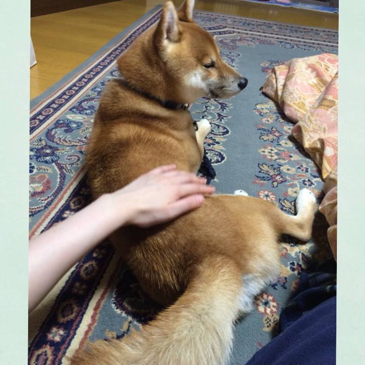 49c55f46 85f9 466f 8b8f 39a27b7d3b7a