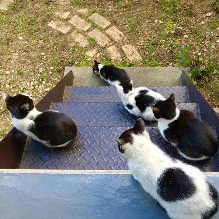 49c5e824 a277 427a 9cc6 e285fb47bc4d