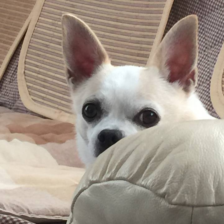 49c5f768 5255 47d7 840f cfecfe006f1b