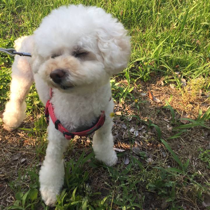 49c68ea1 0653 4942 a79f 992378c5bcab