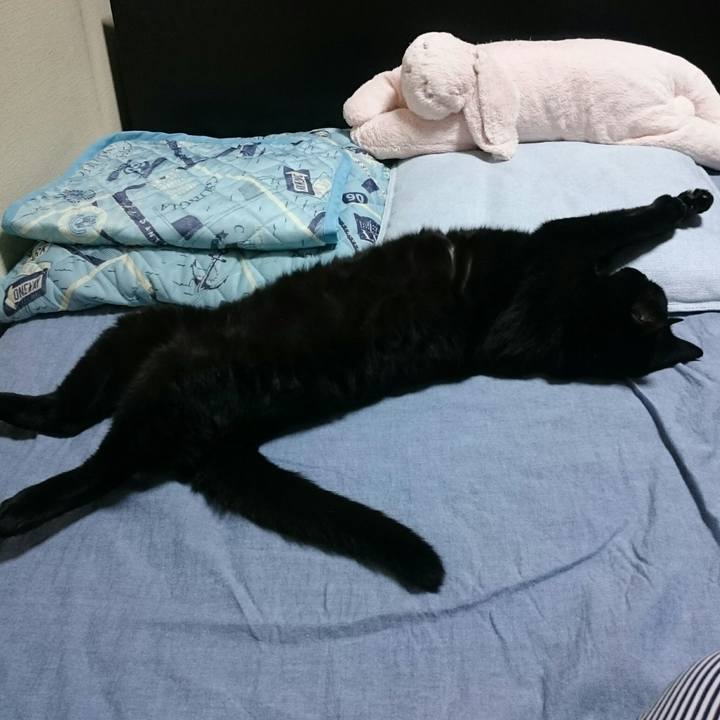 49c6a619 d27c 4a8e a81c ed91a5711fbd