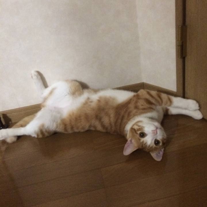 49c6e87f 412a 4ed6 9afa 1735b799c385