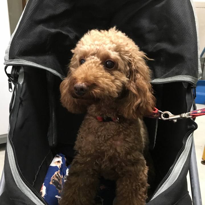 49c78765 bcb8 4a1f a631 6f3847f00fc5