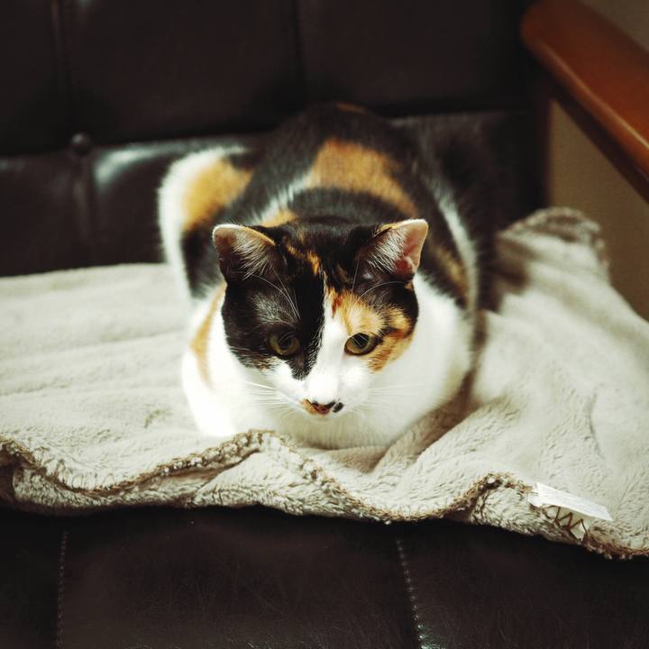 49c78abd 499e 4b48 b585 d49520f1e90d